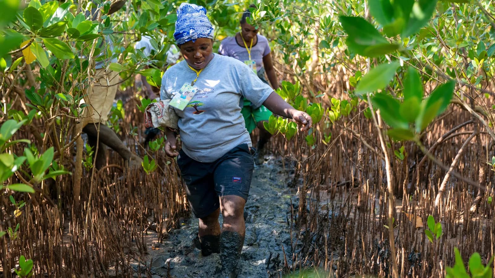 Reforestation team planting trees