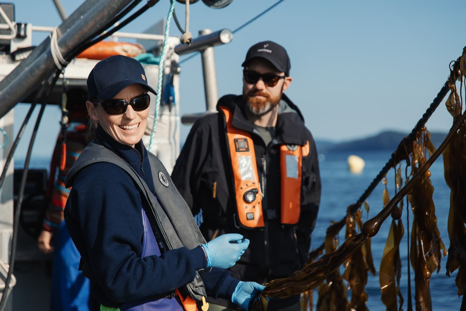 British Columbia Kelp Seaforestation
